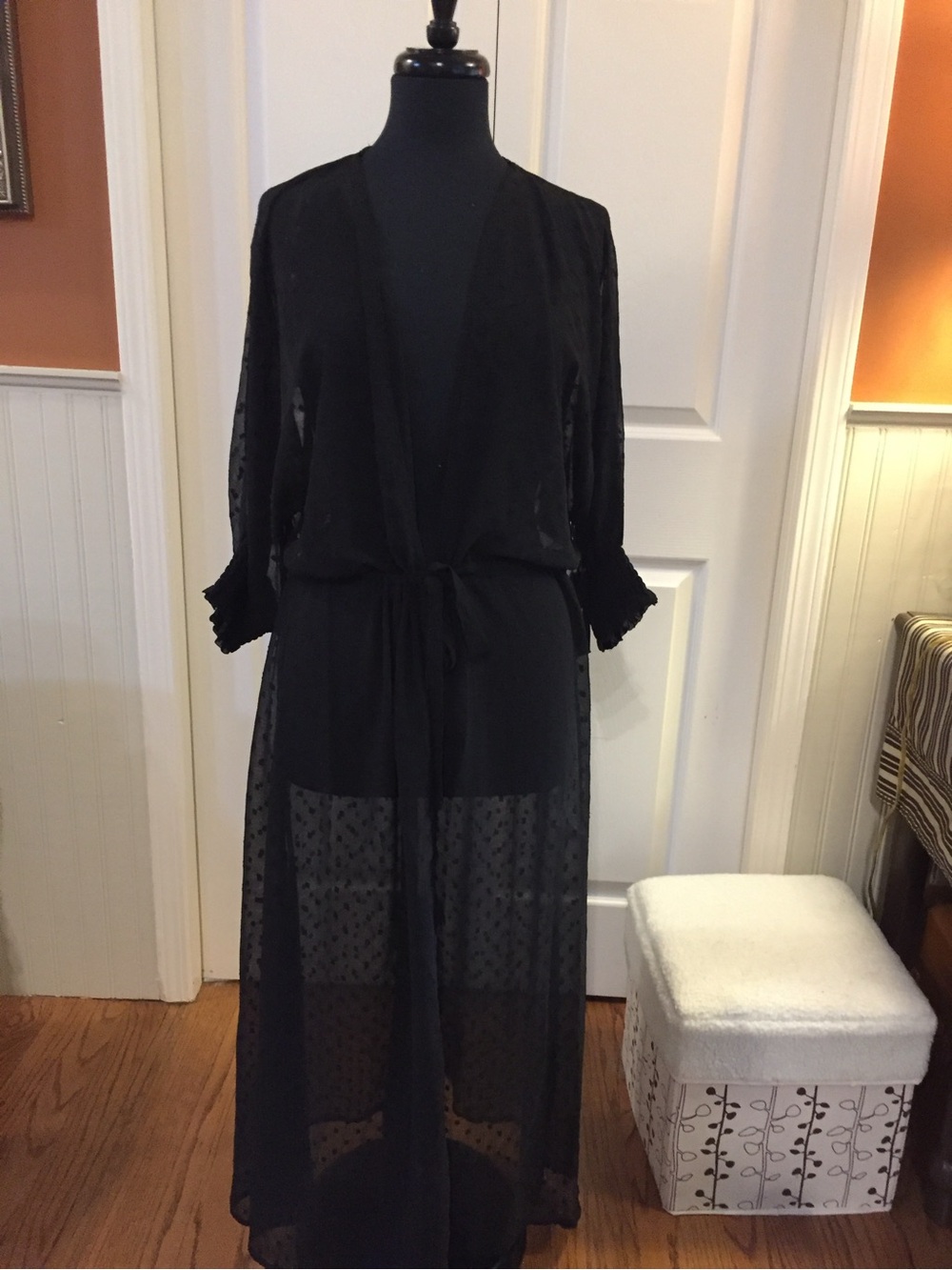 Black Tape_ Sheer Black Long Robe with Tie Waist